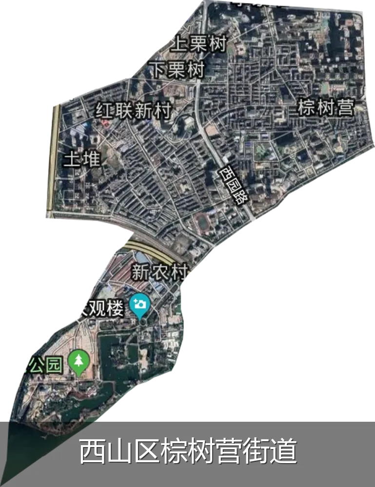 西山区棕树营街道