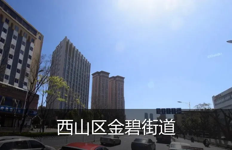 西山区金碧街道